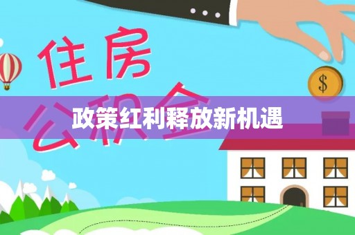 石城政策红利释放新机遇