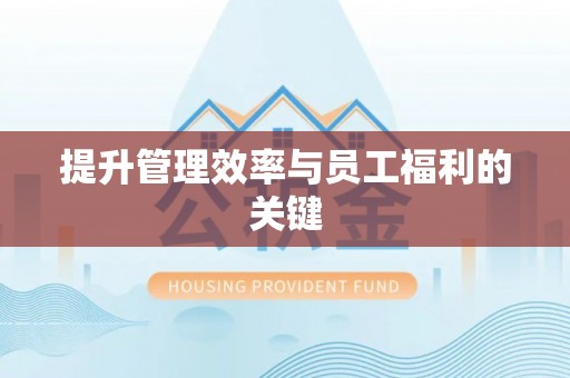 石城提升管理效率与员工福利的关键