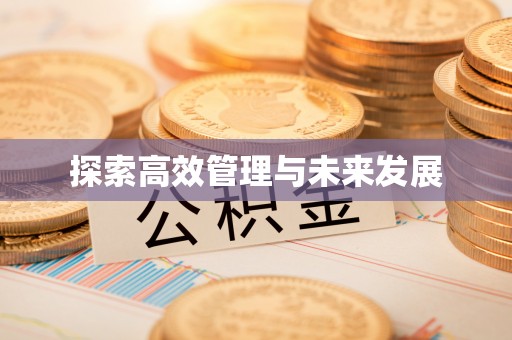 石城探索高效管理与未来发展