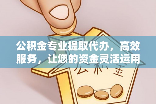 石城公积金专业提取代办，高效服务，让您的资金灵活运用